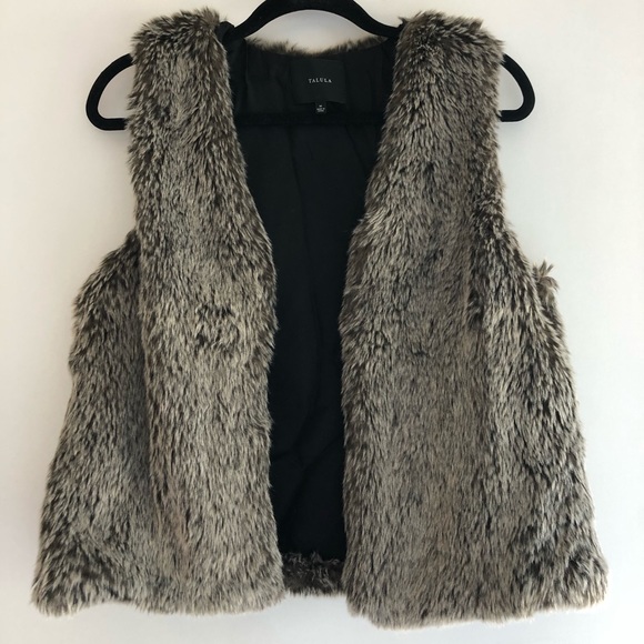 Aritzia Fur Vest - Picture 1 of 3